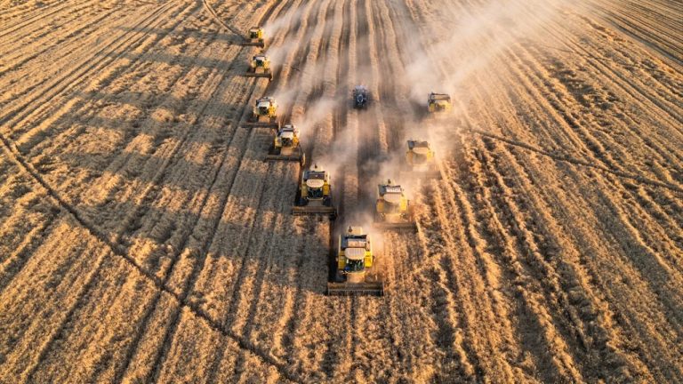 TMO’nun 2025 yılı hububat alım fiyatları belli oldu