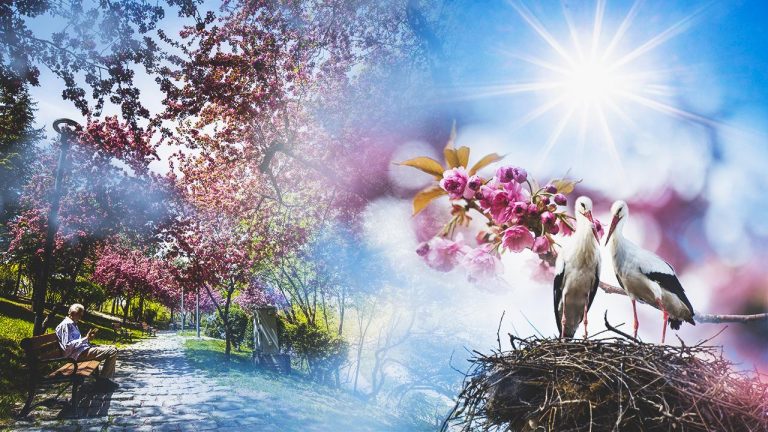 Bugün hava nasıl olacak? – Son Dakika Haberleri